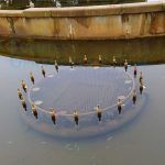 Conjunto de boquillas cometa